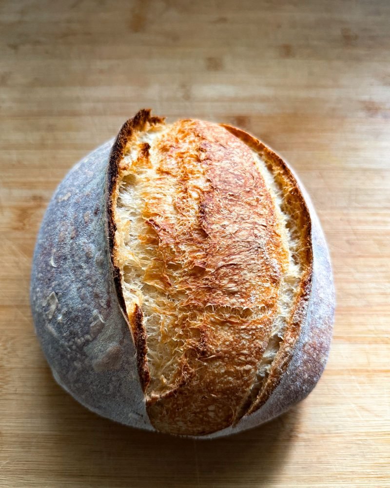The Sourdough Bible cookbook cover